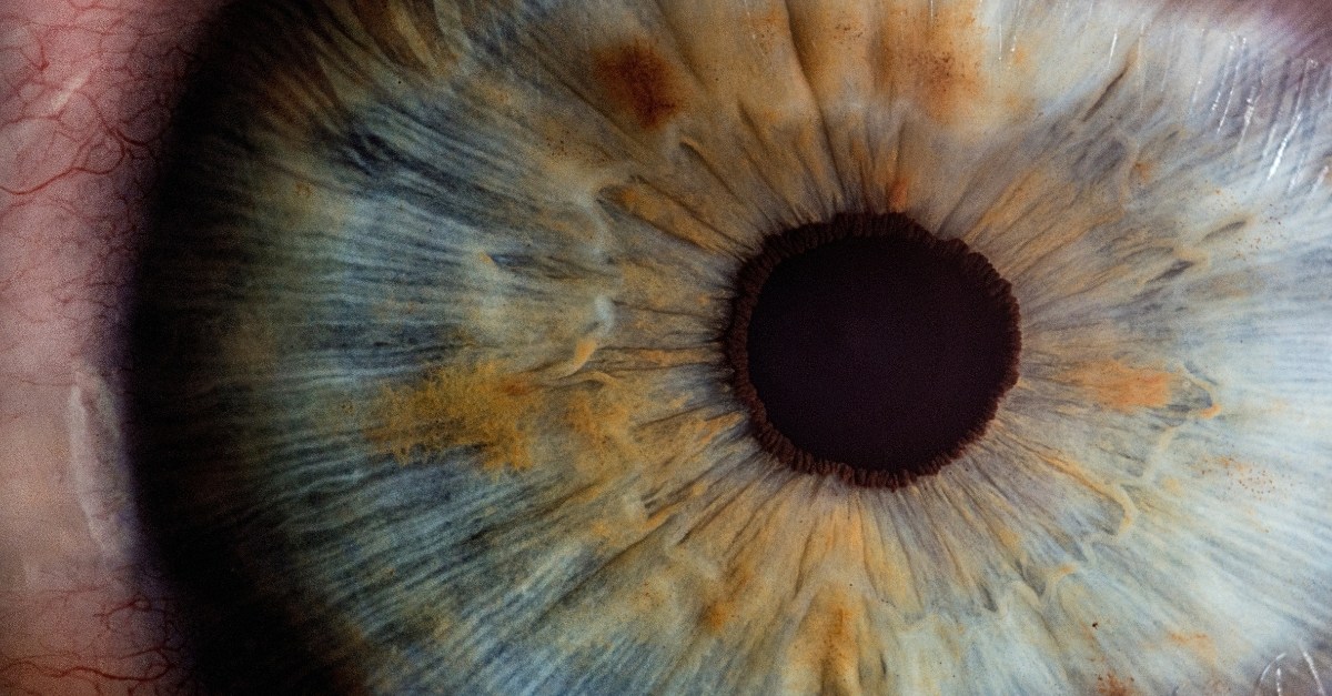Plateforme e-santé optique : solution innovante 2026 /OhMyVue